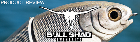 Bull Shad 2Knocker  Bull Shad Swimbaits